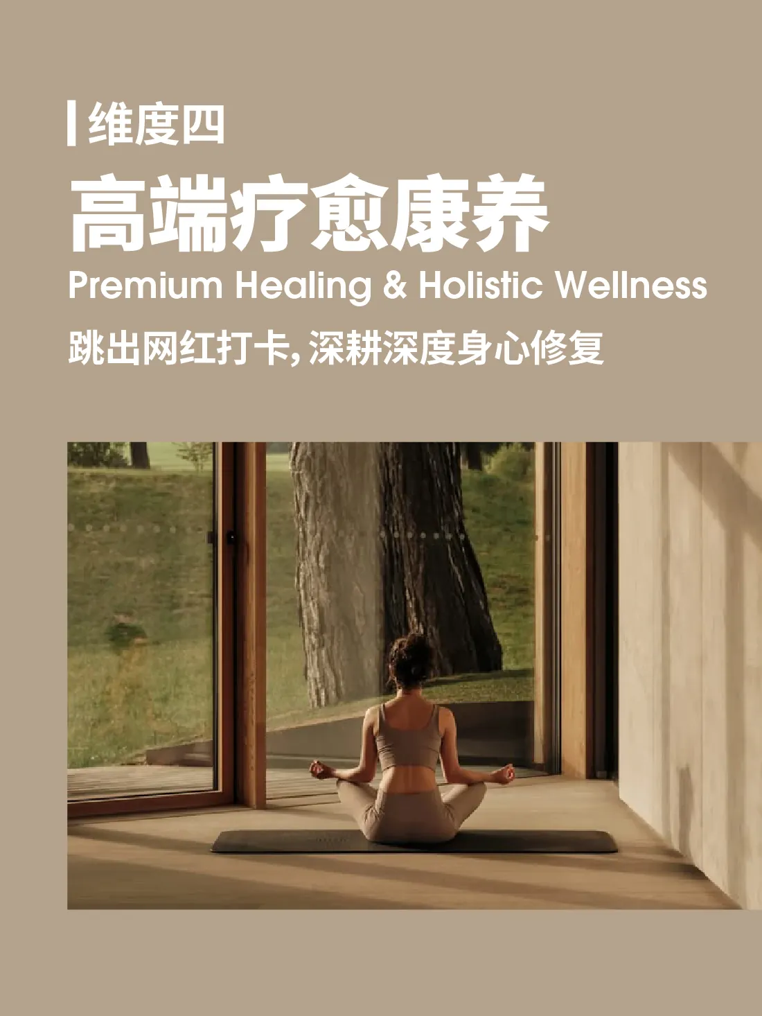 高端疗愈康养专题图片